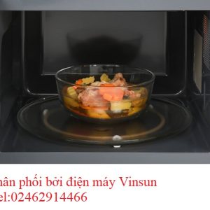 Lo-vi-song-toshiba-er-sgs34-s1-vn-15