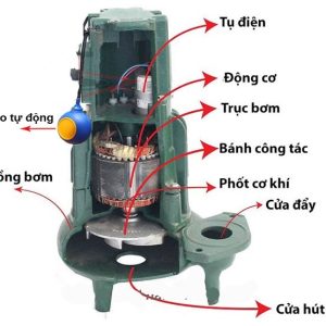 Cau-tao-may-bom-chim-tom