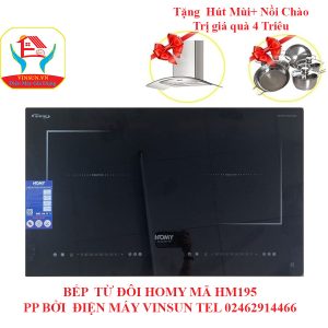 Bếp Từ Đôi Homy HD195 Tại Điện Máy VinSun Bếp Từ Đôi Homy HD195 Tại Điện Máy VinSun