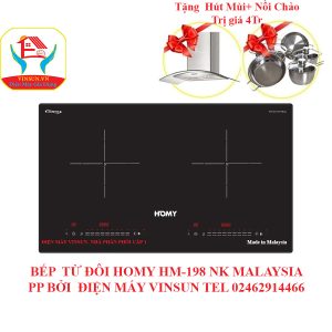 Bếp Từ Đôi Homy HD198 Tại Điện Máy VinSun Bếp Từ Đôi Homy HD198 Tại Điện Máy VinSun