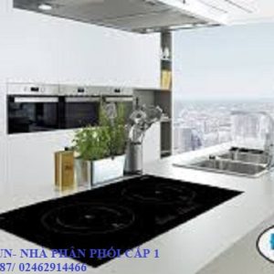 Bếp Từ Đôi Homy HD198 Tại Điện Máy VinSun