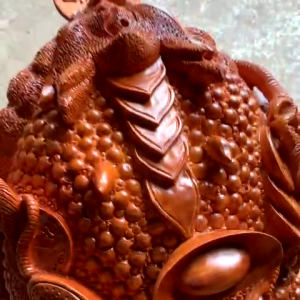 Vlcsnap-2025-08-02-17h46m13s926