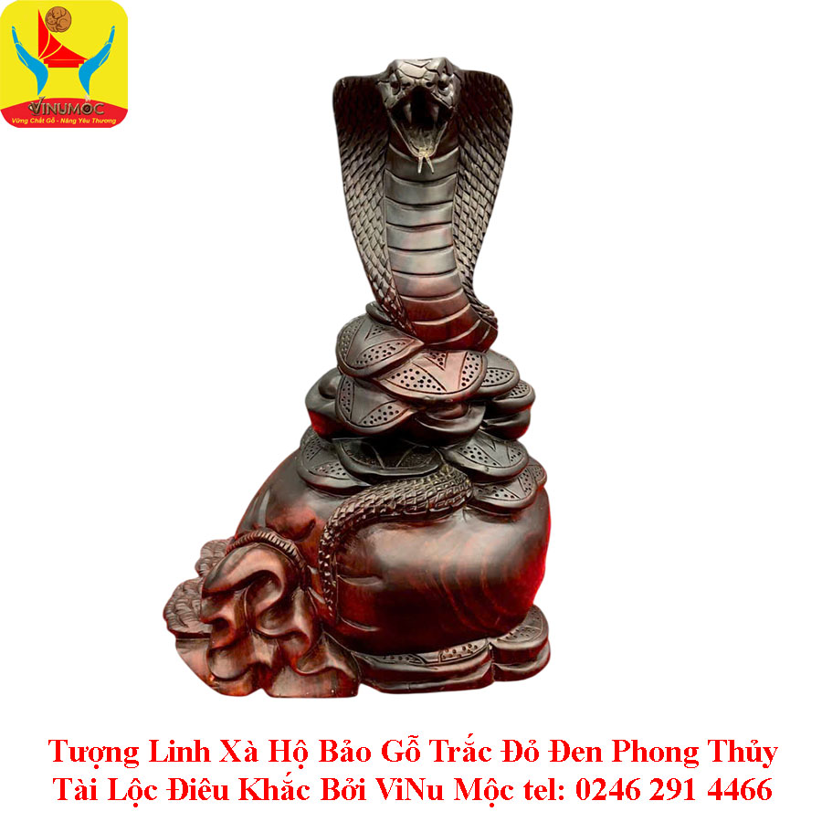 Tượng Linh Xà Hộ Bảo C30xR20xS15 Gỗ Trắc Đỏ Đen Phong Thủy Tài Lộc ViNu Mộc