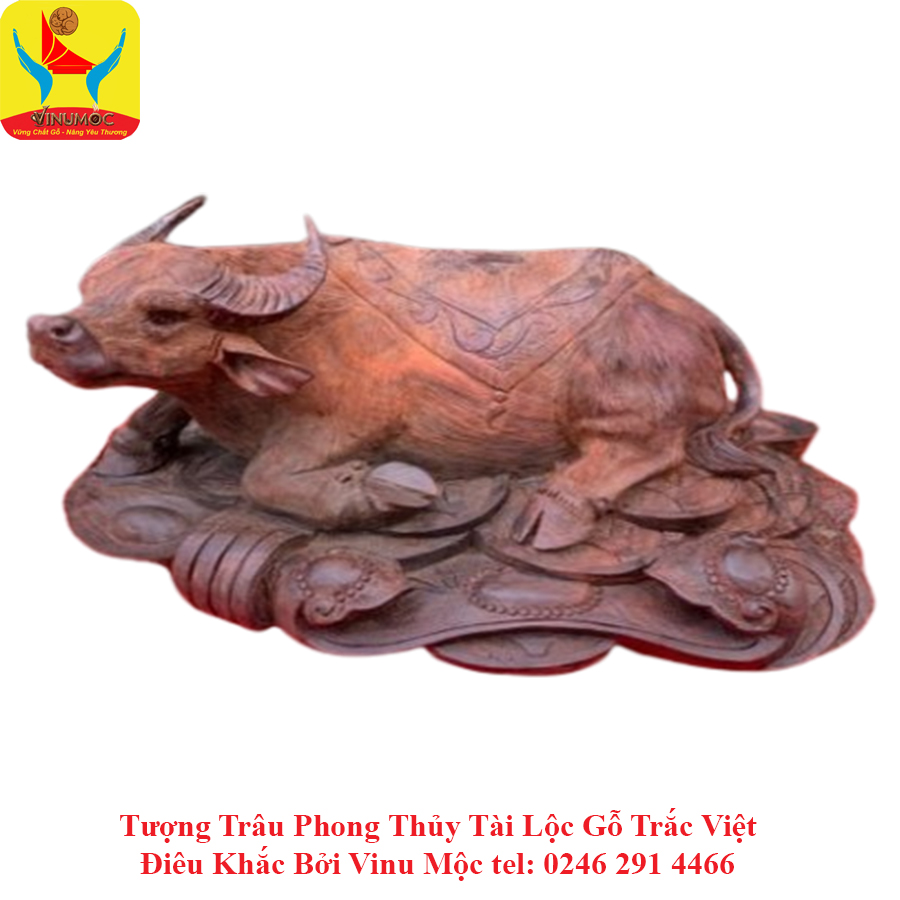 Tượng Trâu Phong Thủy Tài Lộc C14xR30xS18 Gỗ Trắc Việt ViNu Mộc