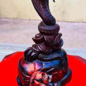 Tượng Linh Xà Hộ Bảo C30xR20xS15 Gỗ Trắc Đỏ Đen Phong Thủy Tài Lộc ViNu Mộc