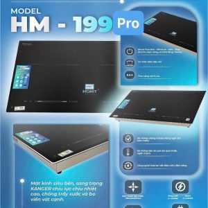 Bếp Từ Đôi Homy HD199 Pro Phân Phối Tại Điện Máy VinSun